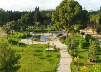 Binlerce bitki türü Dokuma Botanik Park’ta sergilenecek