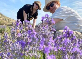 Monet’in eserlerinden ilham aldı! Foça’da kendine marka yarattı