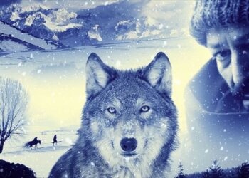 Türk yapımı Mavzer Saraybosna Film Festivali’nde dünya prömiyerini yapacak