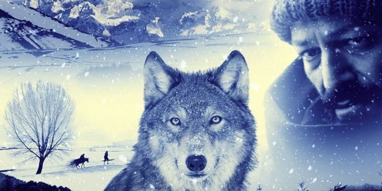 Türk yapımı Mavzer Saraybosna Film Festivali’nde dünya prömiyerini yapacak