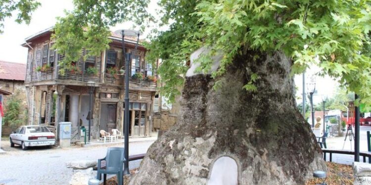 Sıcaktan bunalanların adresi oldu!