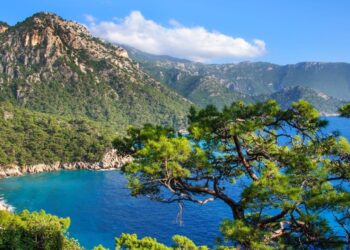 30 yıl önce gördüğü patika yollara hayran kalıp kitabını yazdı