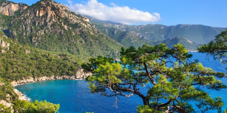 30 yıl önce gördüğü patika yollara hayran kalıp kitabını yazdı