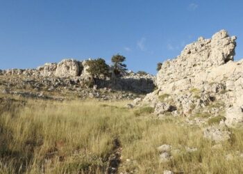 2000 metre yükseklikte buldu… 23 milyon yaşında!