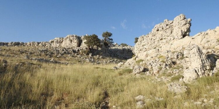 2000 metre yükseklikte buldu… 23 milyon yaşında!