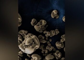 Metal yiyen bakteri keşfedildi