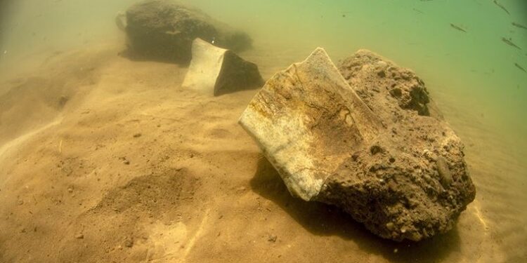Dünyada ilk kez kara canlısının fosili Yamula Barajı’nda su altında bulundu