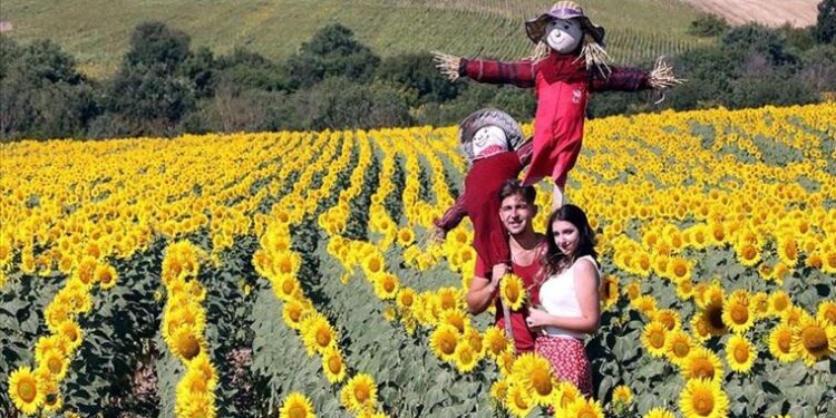 Trakya’da ‘agro turizmi’ atağı