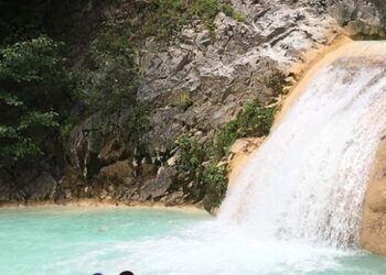 Mavi Göl dünya markası olma yolunda