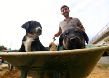 Kazı ekibi ‘7 cüceler’e bebek gibi bakıyor