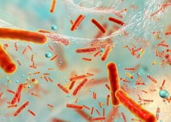 Bursa Uludağ Üniversitesi literatüre yeni bir bakteri türü kazandırdı