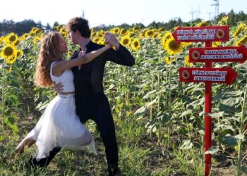 ‘Trakya’nın sarı gelini’ ayçiçeği tarlalarında fotoğraf şöleni