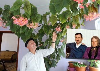 Eşinin hatırasını yaşatmak için baktığı çiçek odayı kapladı: ‘Sevgimi bu şekilde sürdürüyorum’