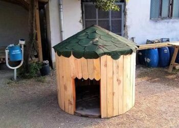 Kablo makaraları, sokak köpeklerine ‘yuva’ oldu