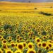 Fotoğraf tutkunlarını ağırlıyor