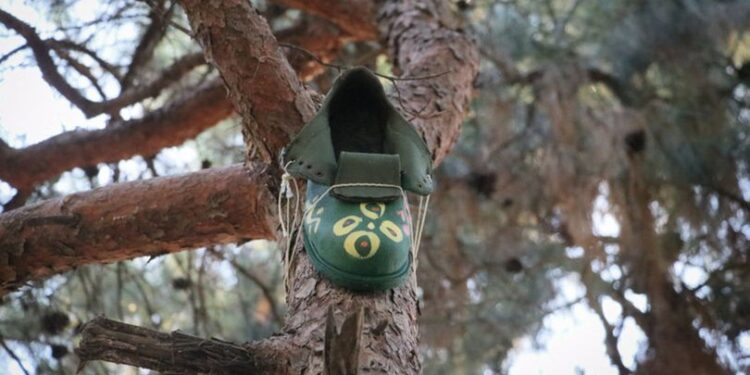 Giyilmeyen ayakkabılar kuşlara rengarenk yuva oldu