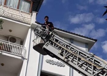 Tunceli’de ağaçta mahsur kalan yavru kedi kurtarıldı