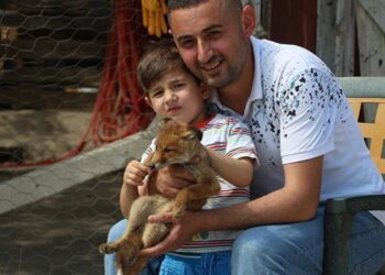 Yolda bulduğu yavru tilkiyi evinde besledi