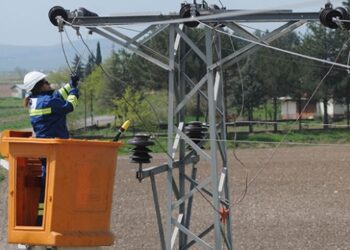Elektrik dağıtım sektörünün Zahide Ablası