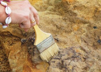 Arjantin’de 70 yıl önce bulunan balık fosilinin 70 milyon yıllık olduğu keşfedildi