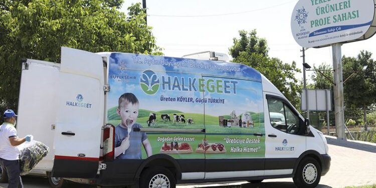 Aydın’da hasat zamanı: Ata tohumlarıyla üretildi, aracısız vatandaşa ulaşıyor!