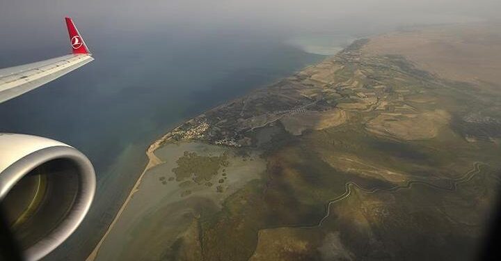 Son dakika… THY çevre duyarlılığı sayesinde binlerce ağacı kurtardı