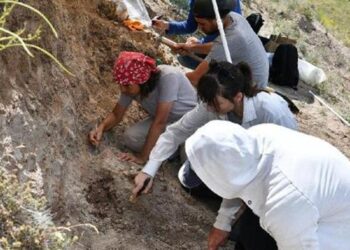 Kayseri’de 7,5 milyon yıllık fosillerin bulunduğu alanda yeni kazı çalışması