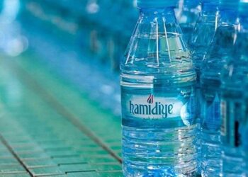 Altın Örümcek Ödülleri’nde halkın favorisi Hamidiye’nin internet sitesi oldu