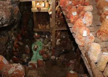 Obruk peynirinin lezzet yolculuğu başladı: 1800 metrede sarp kayaların arasında saklıyorlar, kilosu 100 TL’den satılacak