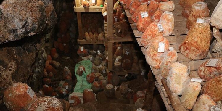Obruk peynirinin lezzet yolculuğu başladı: 1800 metrede sarp kayaların arasında saklıyorlar, kilosu 100 TL’den satılacak