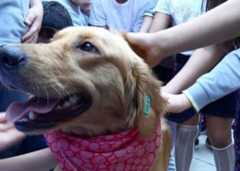 Hayvan sevgisi okullarda başlayacak