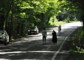 Ağaçların tünel oluşturduğu yol görsel şölen sunuyor