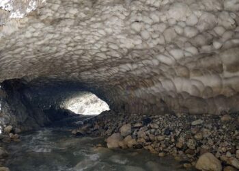 Dünyada çok nadir bulunuyor! Kayseri’de görüntülendi