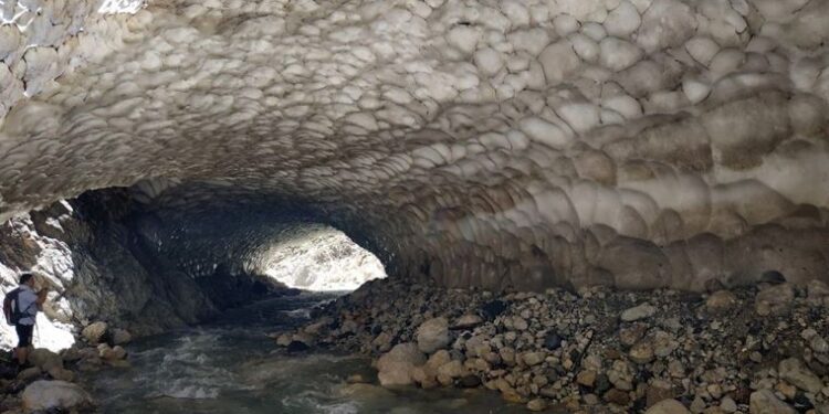 Dünyada çok nadir bulunuyor! Kayseri’de görüntülendi