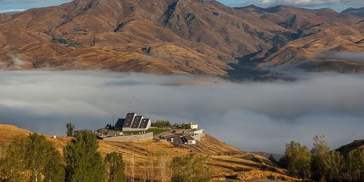 Bozkırda açan çiçek 20 yaşında