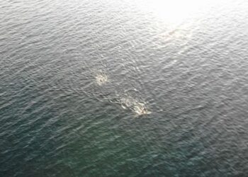 28 kilometrelik kulaç! 10 saat sürecek