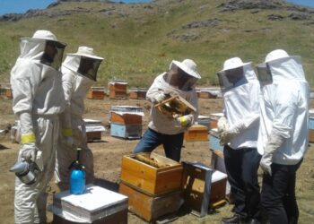 Genç arıcı 2 bin 900 rakımda organik bal üretiyor