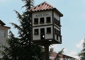 Tarihi kentte kuşlara ev
