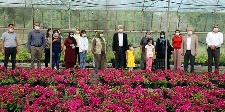 Büyükşehir Belediyesi destekledi, Muğlalı kadınlar 18 milyon çiçek üretti