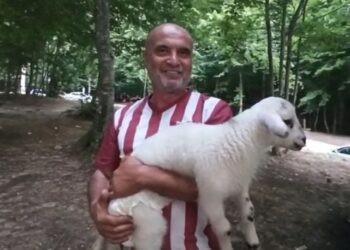 Annesinin dışladığı kuzuya bebeği gibi bakıyor