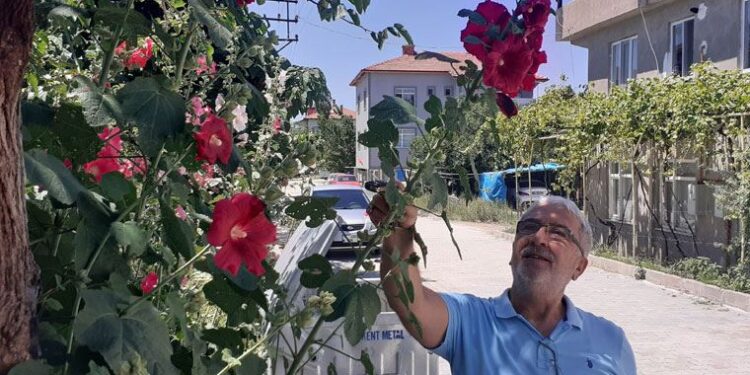 Barış Manço’nun şarkısından ilham alıp reçel yaptı