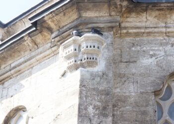 Osmanlı döneminin merhamet simgesi: Kuş evleri