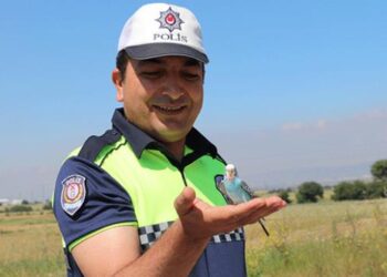 Bayram Şekeri adı verilen muhabbet kuşu, polis ekiplerinin maskotu oldu