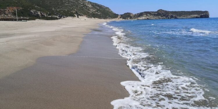 Patara’da tespit edildi… Tam 116 yuva!