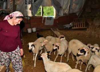 Güzelbahçeli kadın üreticinin başarı öyküsü