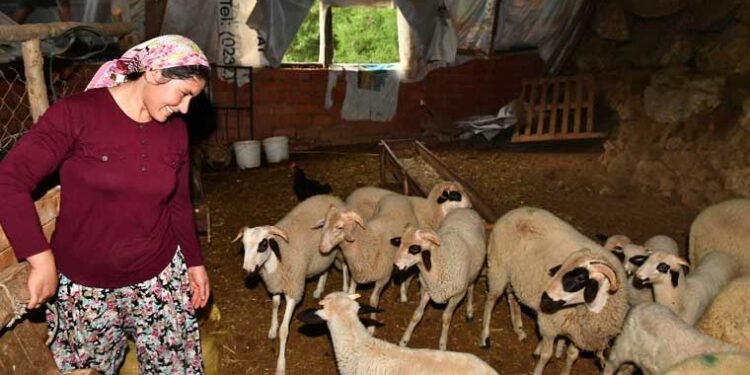 Güzelbahçeli kadın üreticinin başarı öyküsü