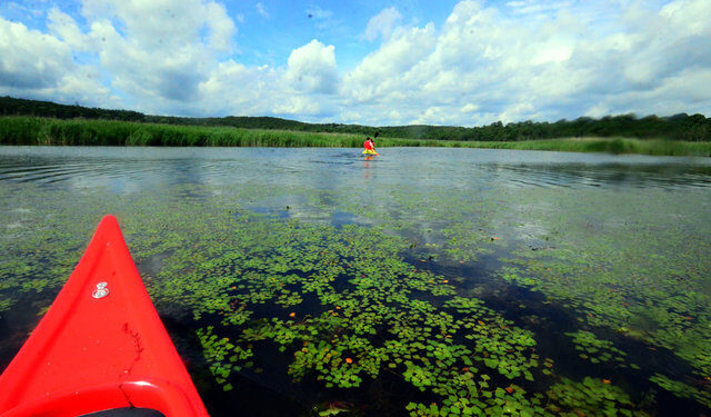 Yeşilin ve mavinin tonlarıyla görsel şölen sunuyor