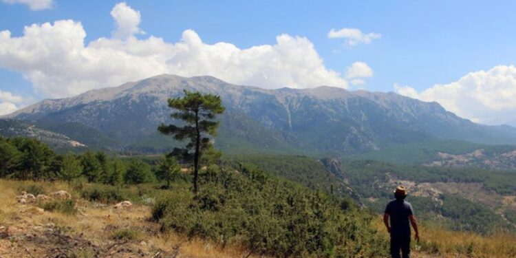 2200 yıllık davaya konu olmuştu… Keşfedildi