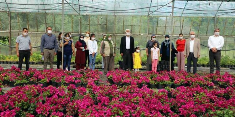 Muğlalı kadınlar 3 serada başladıkları üretimi 27 seraya çıkardı