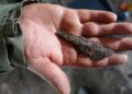 Evlerini restore ederken Viking mezarı buldular